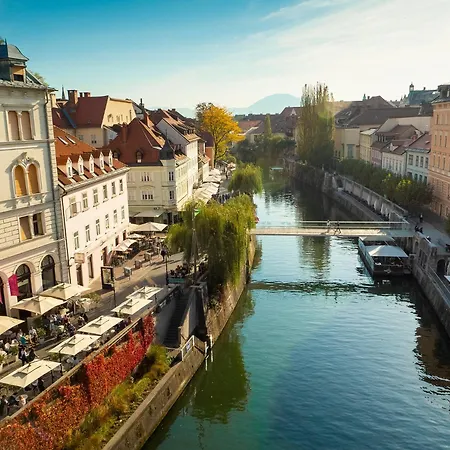 Jaques Ljubljana